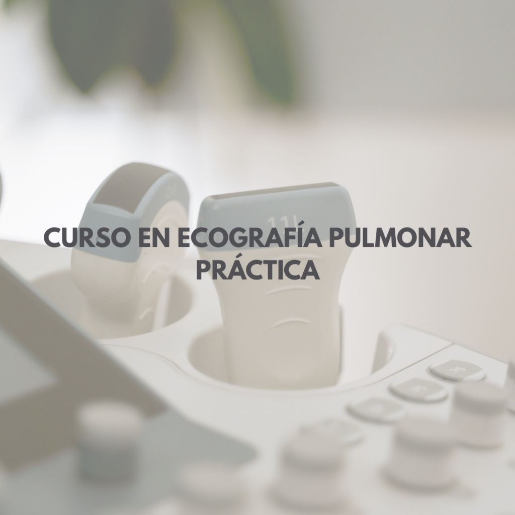 Curso en Ecografía Pulmonar Práctica
